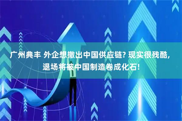 广州典丰 外企想撤出中国供应链? 现实很残酷, 退场将被中国制造卷成化石!
