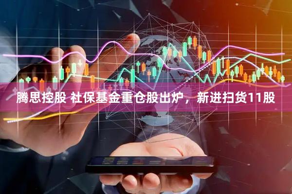 腾思控股 社保基金重仓股出炉，新进扫货11股