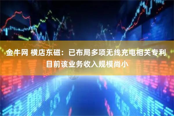 金牛网 横店东磁：已布局多项无线充电相关专利 目前该业务收入规模尚小