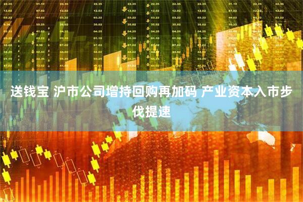 送钱宝 沪市公司增持回购再加码 产业资本入市步伐提速