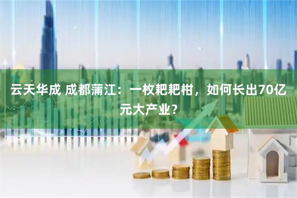 云天华成 成都蒲江：一枚耙耙柑，如何长出70亿元大产业？