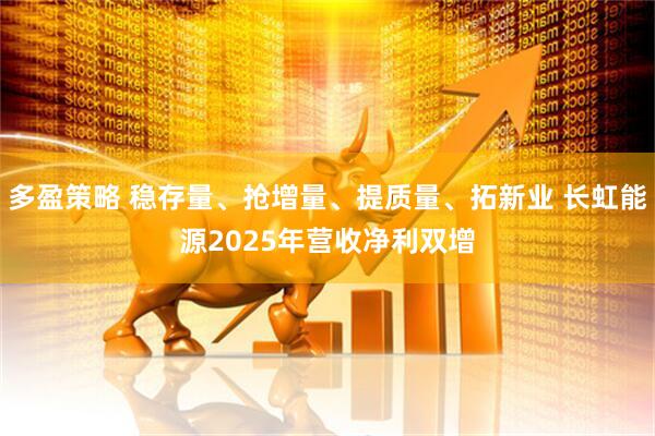 多盈策略 稳存量、抢增量、提质量、拓新业 长虹能源2025年营收净利双增