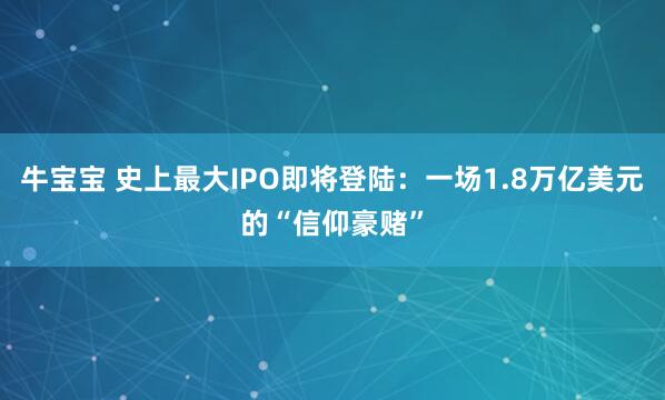 牛宝宝 史上最大IPO即将登陆:一场1.8万亿美元的“信仰豪赌”