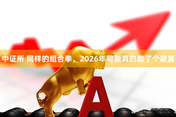 中证所 同样的组合拳，2026年可能真的救了个寂寞